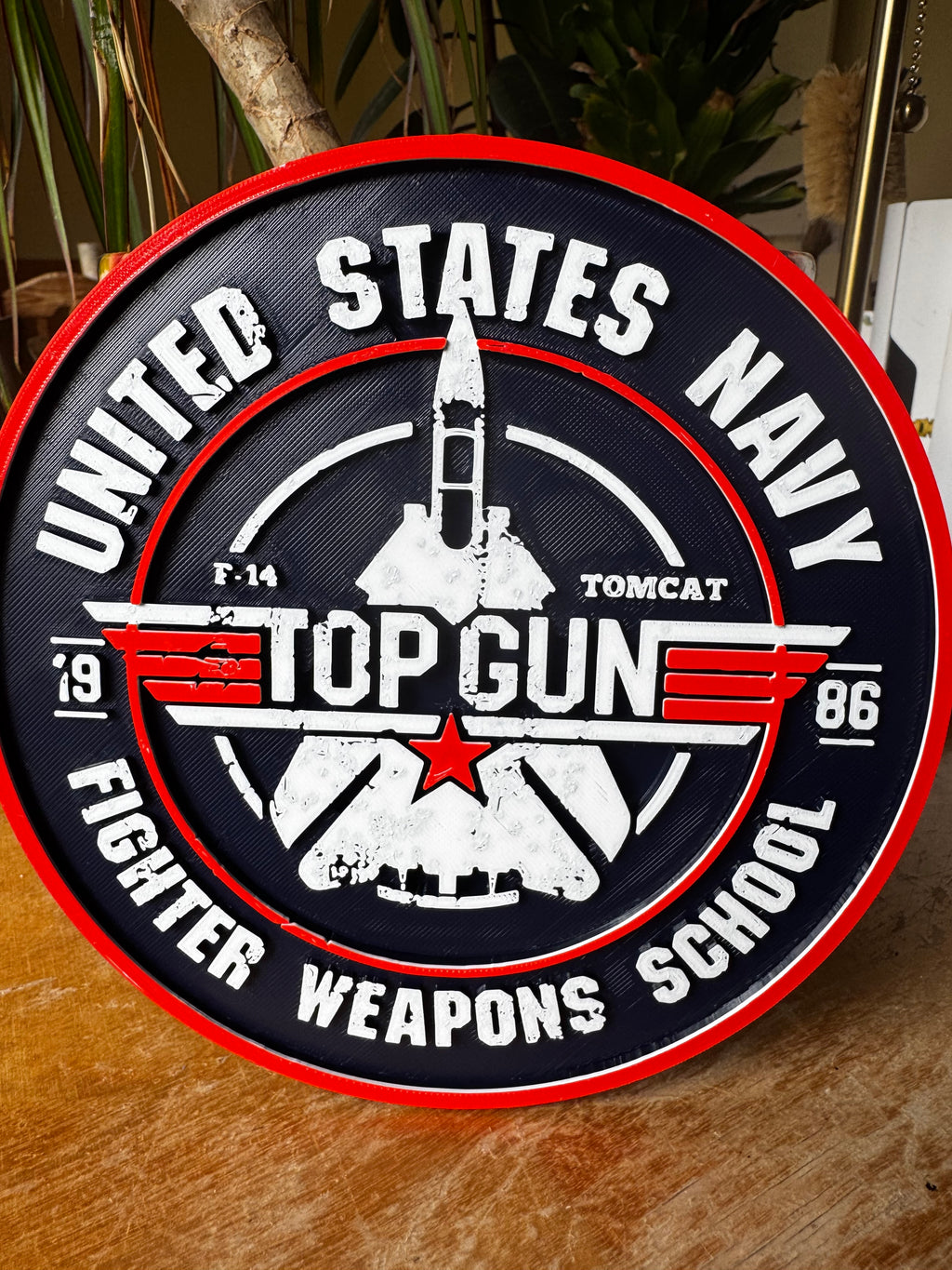 Top Gun F-14 Tomcat 3D Wall Plaque