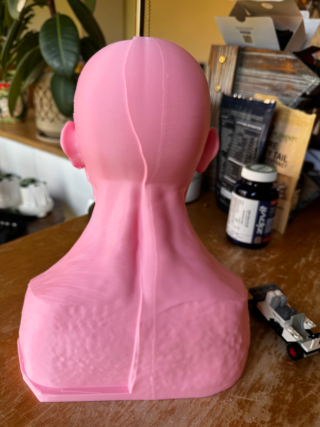 Human Anatomy Head & Torso Bust – Large 3D Printed Anatomical Sculpture – Medical Display