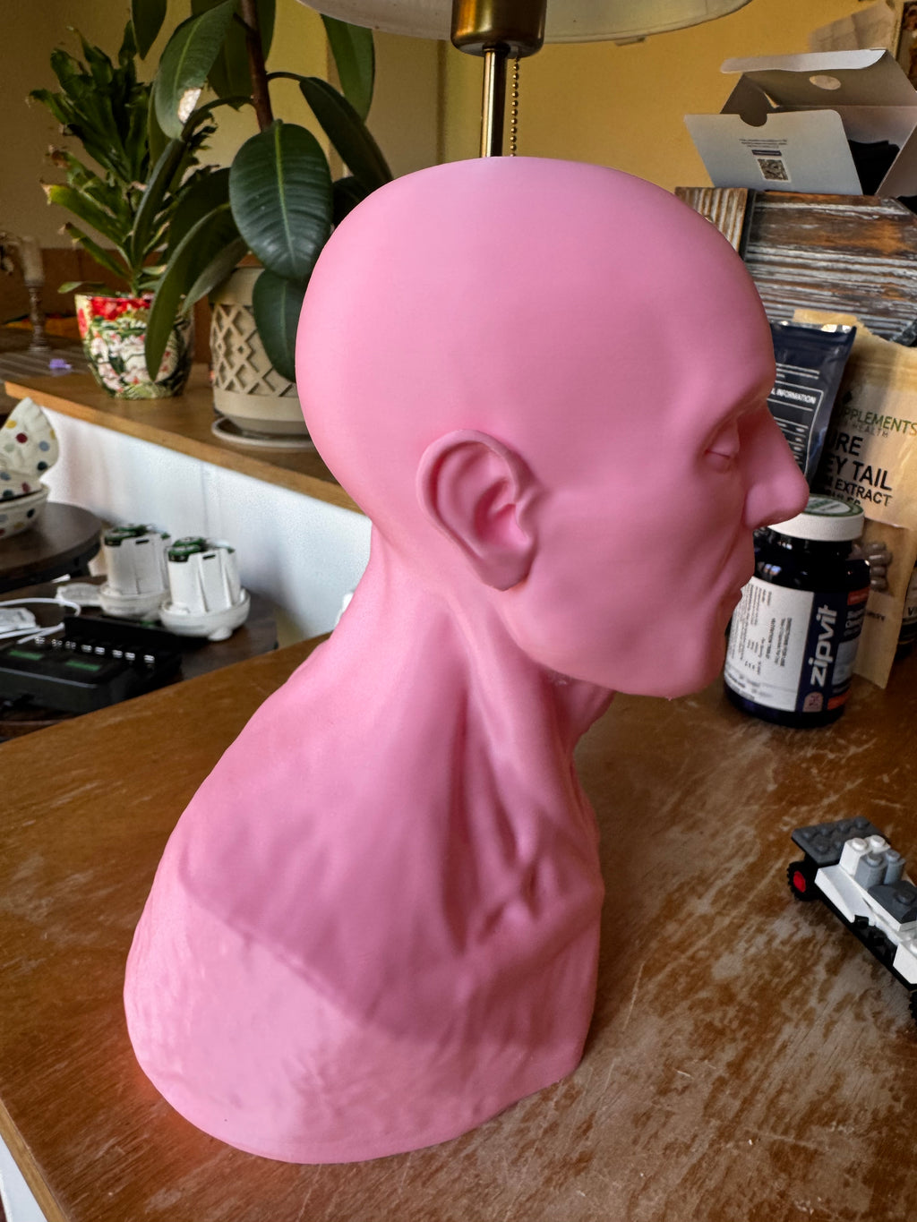 Human Anatomy Head & Torso Bust – Large 3D Printed Anatomical Sculpture – Medical Display