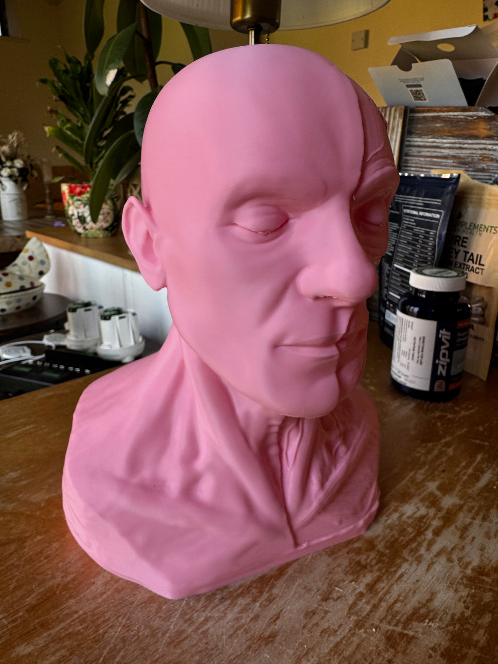 Human Anatomy Head & Torso Bust – Large 3D Printed Anatomical Sculpture – Medical Display