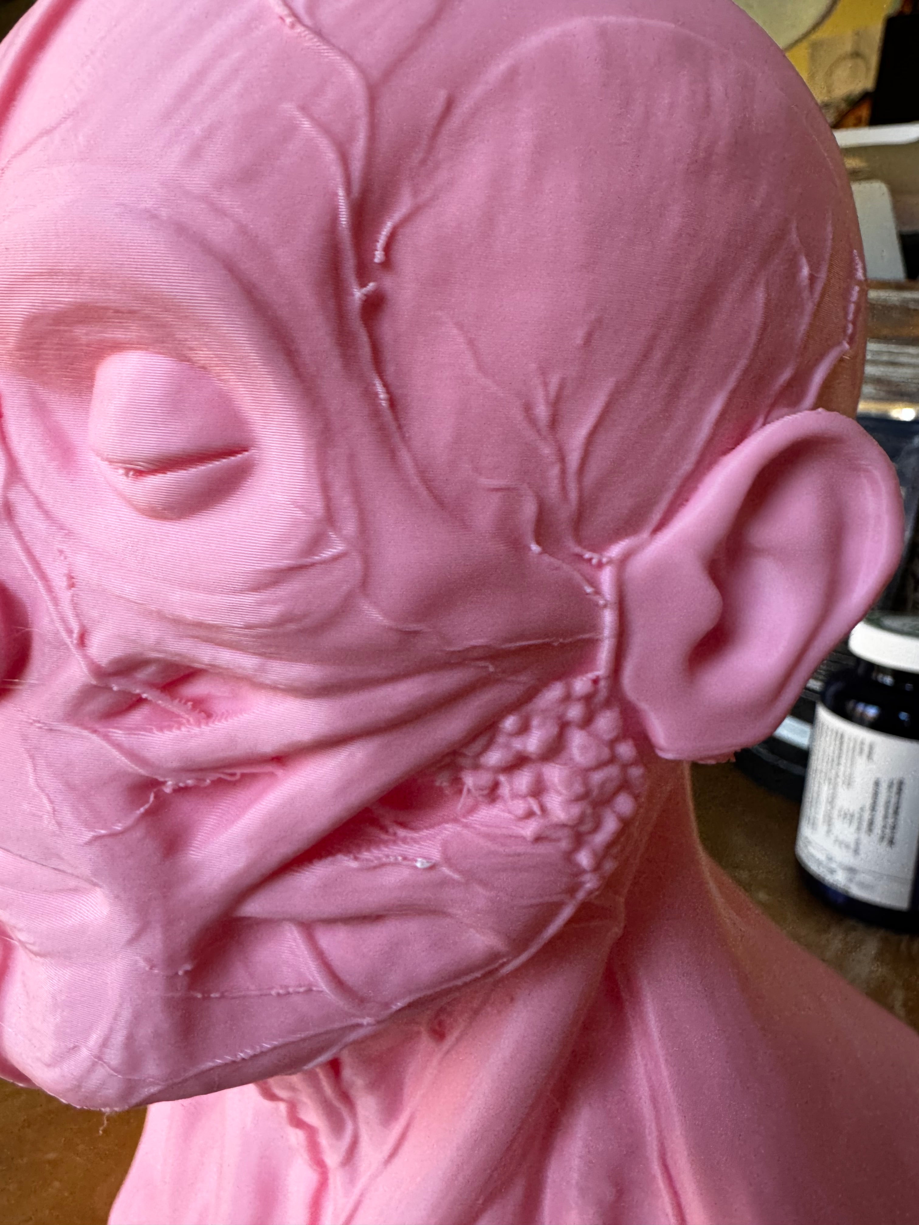 Human Anatomy Head & Torso Bust – Large 3D Printed Anatomical Sculpture – Medical Display