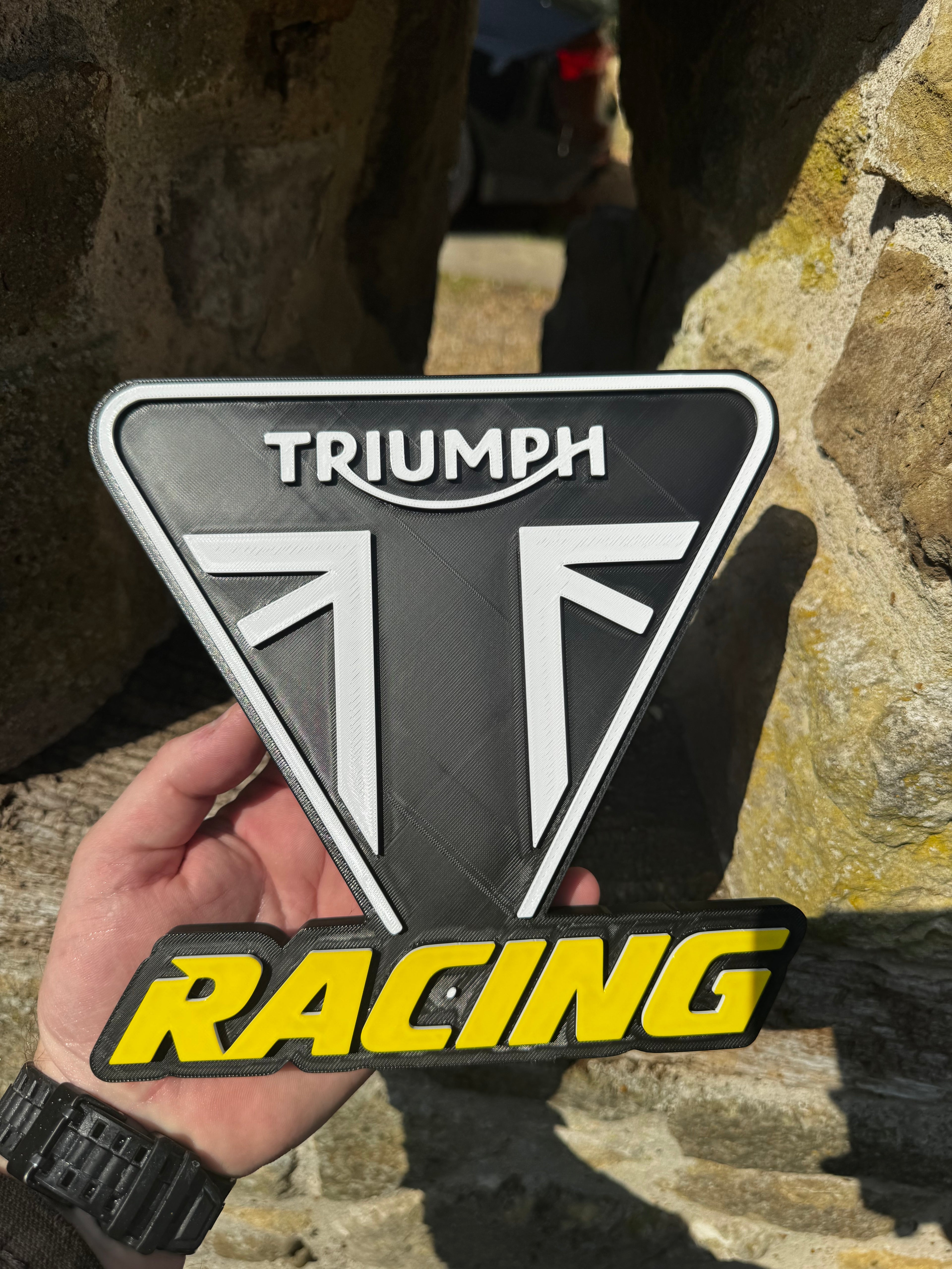 Triumph Racing 3D Wall Sign – Motorcycle Garage Plaque