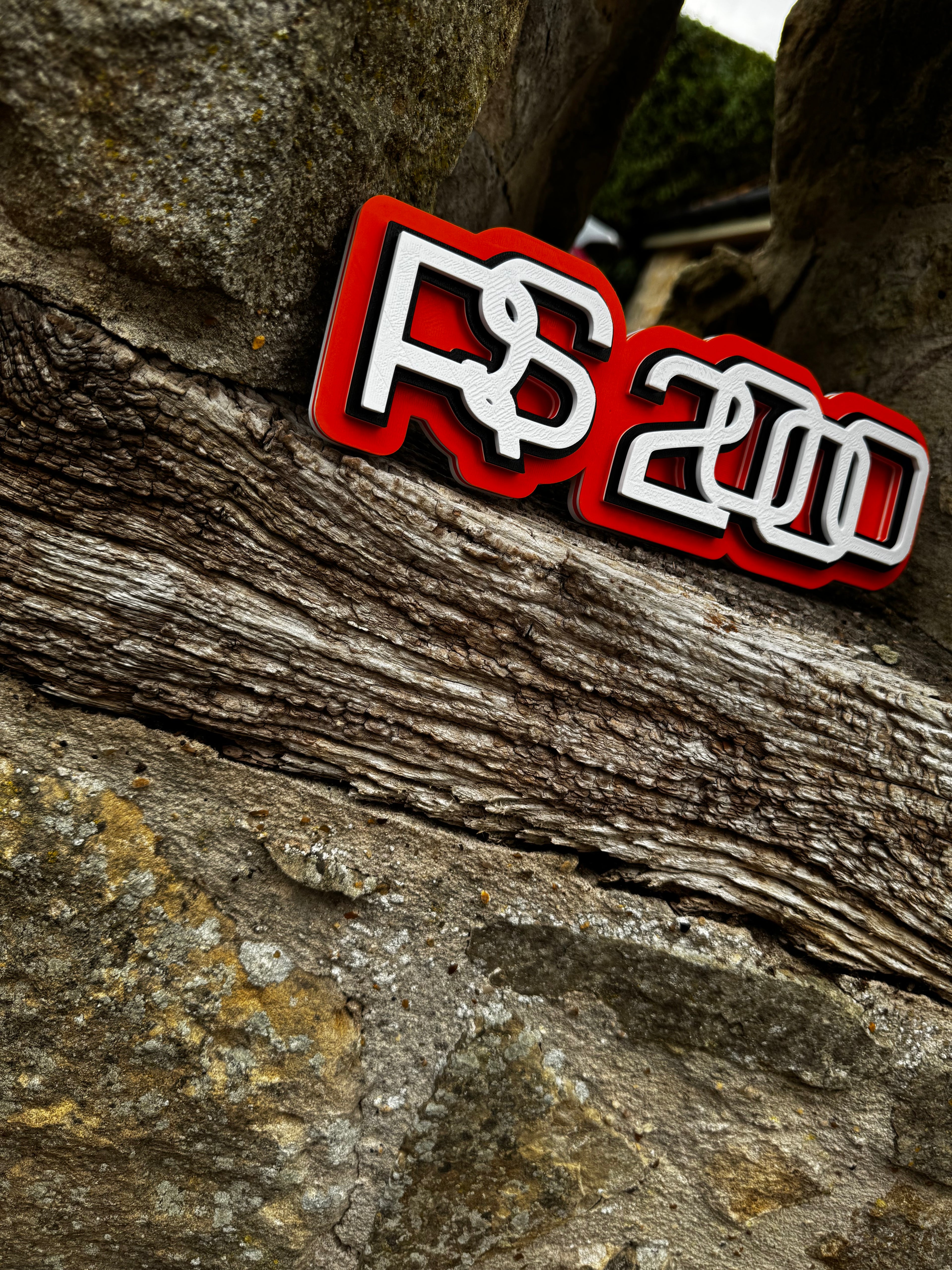 Ford RS200 3D Printed Display Plaque